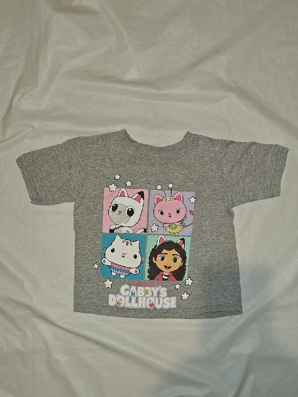 Gabby's Dollhouse Girls 2T Gray Graphic T-Shirt Used